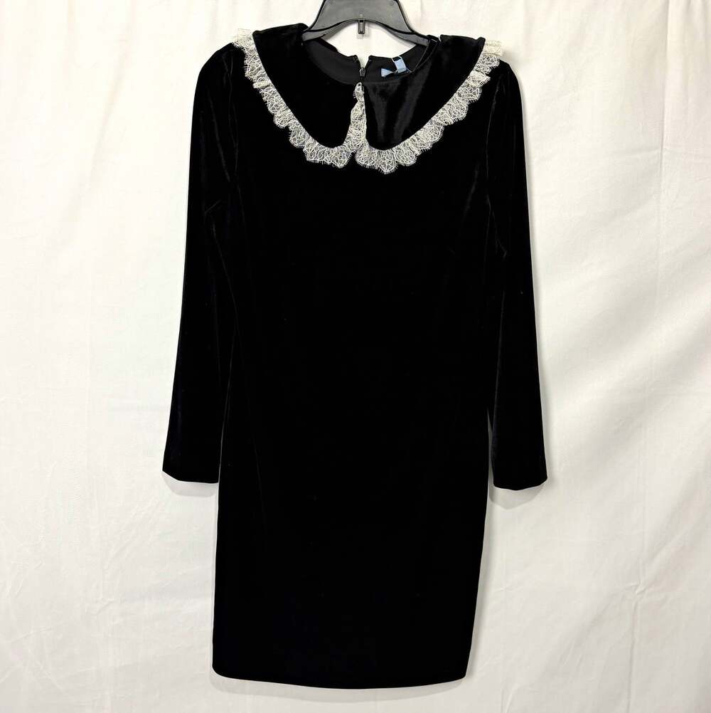 NWT Antonio Melani Sz 14 Black Velvet Shift Dress Removable Lace Collar